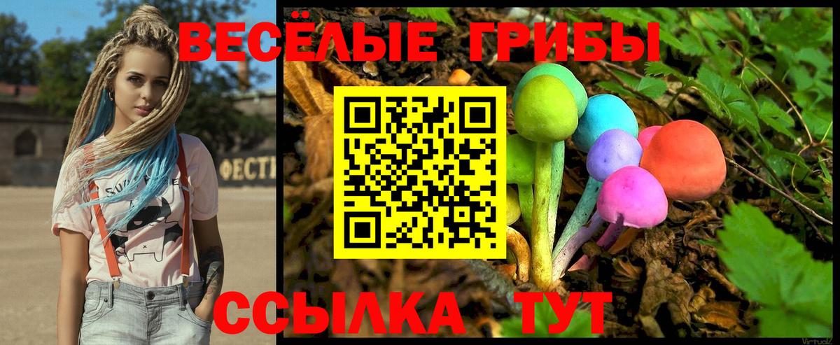 Кудымкар  Галлюциногенные грибы MAGIC MUSHROOMS  купить наркотики цена  Псилоцибиновые грибы MAGIC MUSHROOMS  Вход с VPN 